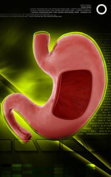 Digital illustration of stomach in colour background