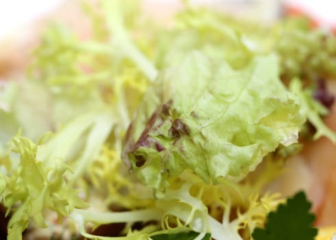 green salad