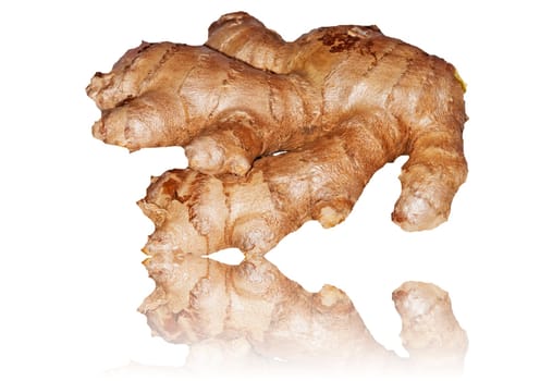 Ginger