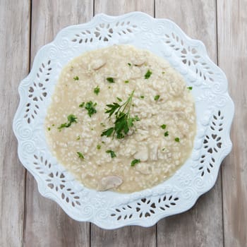 Porcini Mushroom risotto decorated with parsley