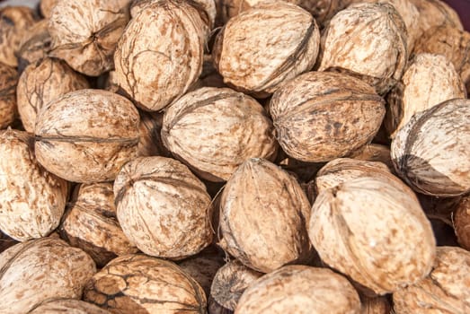 Freshly picked organic walnuts closeup as background