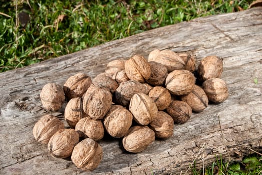 Freshly picked walnuts on old weathered board and dry walnut leaves