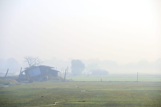 Mist Morning