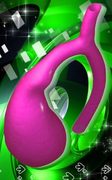Digital illustration of pancreas in colour background