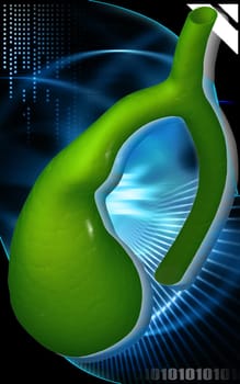 Digital illustration of pancreas in colour background