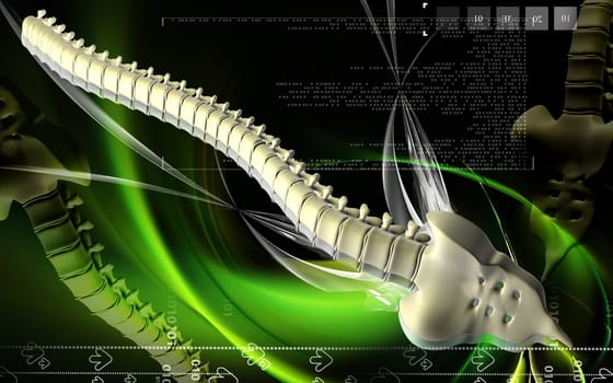 Digital illustration of back bone in colour background