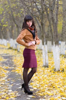 Glamour girl in the autumn alley with yellow leaves