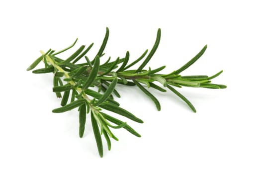 Rosemary,plant for fragrance and in the kitchen