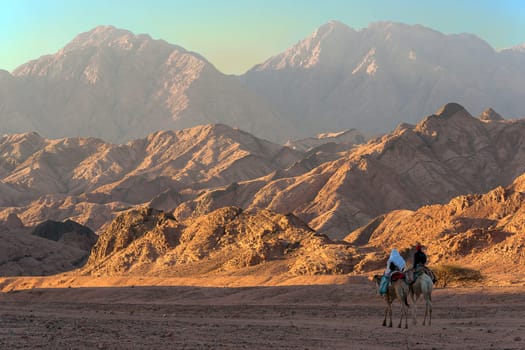 Through wild Sinai