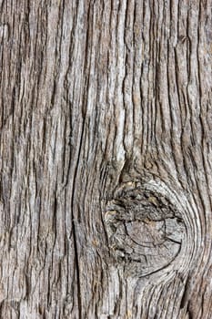Texture of wood, can be used as a background
