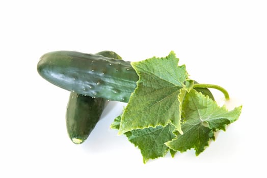 Cucumbers with its leaves isolated on a white background.