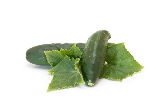 Cucumbers with its leaves isolated on a white background.