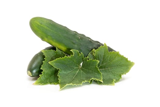 Cucumbers with its leaves isolated on a white background.