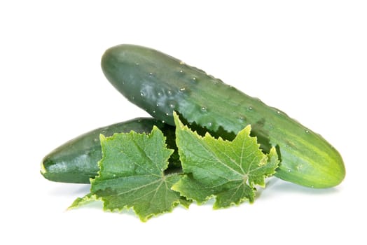 Cucumbers with its leaves isolated on a white background.