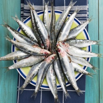 Fresh raw sardines on the table of the kitchen to be cooked.