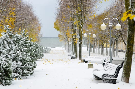Alley in the Park later in the autumn. Snow storm