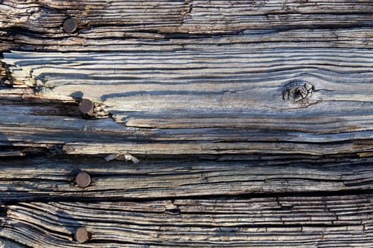 Close up full image view looking down on old, rotted, textured wood with rusty nails.