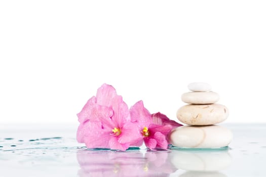 White Spa stones and pink flower on white