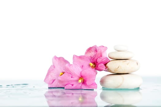White Spa stones and pink flower on white