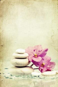 Vintage photo of ooriental spa stones and pink flower