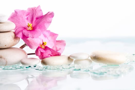 White Spa stones and pink flower on white