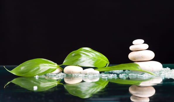 Spa stones sea salt and green leaves