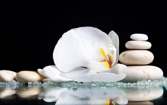 Spa stones, sea salt and with orchid flower on black background