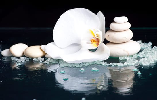Spa stones, sea salt and with orchid flower on black background