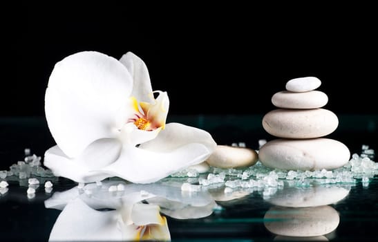 Spa stones, sea salt and with orchid flower on black background