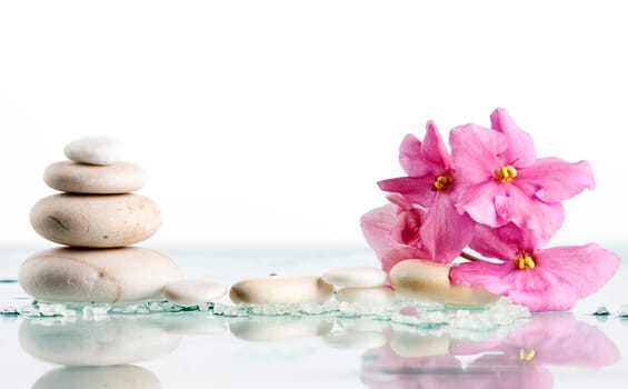 White Spa stones and pink flower on white