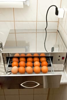 Disinfection of the eggs device with UV rays