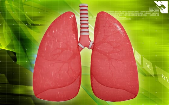 Digital illustration of human lungs in colour background