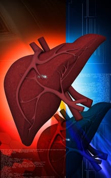 Digital illustration of liver in colour background
