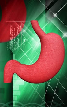 Digital illustration of stomach in colour background