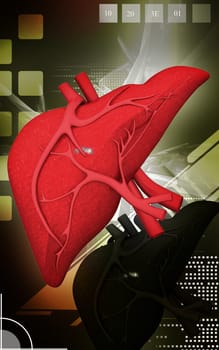 Digital illustration of liver in colour background