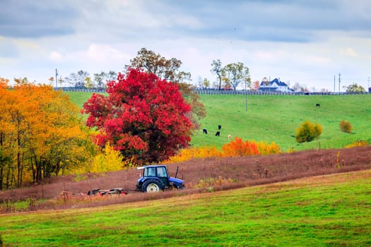 Tractor mowing grass on a farm in Central Kentucky
