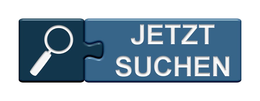 Puzzle Button: Search Now