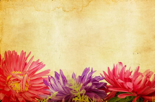 Gerbera daisy flowers on vintage paper background