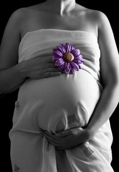 Belly of pregnant woman in white