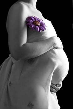 Belly of pregnant woman in white