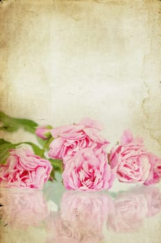 Pink roses on brown vintage cartboard paper background