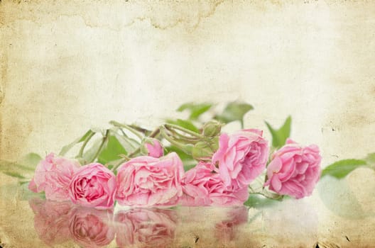 Pink roses on brown vintage cartboard paper background
