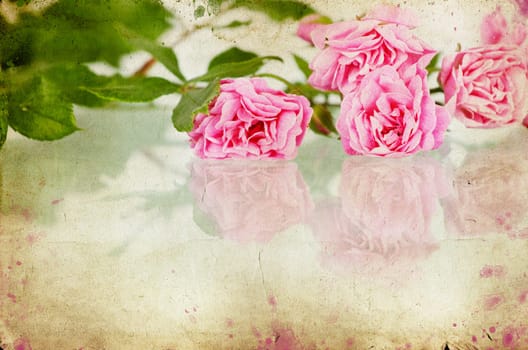 Pink roses on brown vintage cartboard paper background