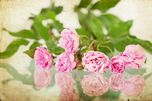 Pink roses on brown vintage cartboard paper background