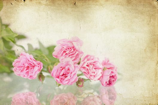 Pink roses on brown vintage cartboard paper background