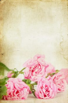 Pink roses on brown vintage cartboard paper background