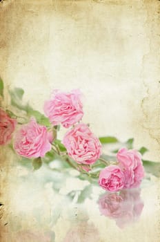 Pink roses on brown vintage cartboard paper background