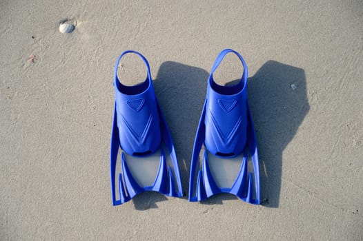 Swimming gear isolated against a white background