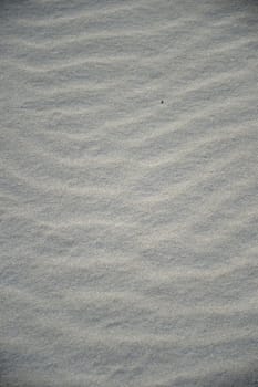 A conceptual beach image with assorted beach items