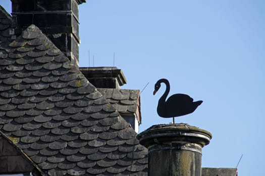 Weather swan at Vinsebeck Castle